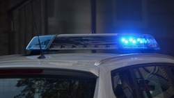 Сотрудники полиции задержали жителя Нового Оскола в ходе операции «Мак – 2022» 