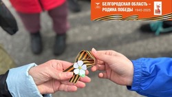 Патриотическая акция "Георгиевская ленточка" стартовала на территории Новооскольского округа