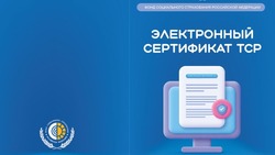 Социальный Фонд оформит электронные сертификаты на ТСР демобилизованным по ранению участникам СВО