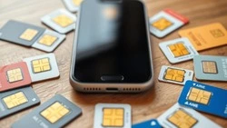 Белгородцы cмогут проверить количество зарегистрированных на них SIM-карт через Госуслуги