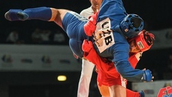 Спортсмен из Белгородской области получил звание чемпиона мира по боевому самбо