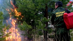 Пожароопасный сезон официально объявлен на территории Белгородской области