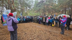 Новооскольские школьники приняли участие в региональных соревнованиях по спортивному ориентированию