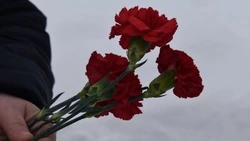 Жители Нового Оскола отметили 83-ю годовщину освобождения города от немецких захватчиков