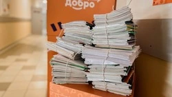 Вячеслав Гладков рассказал об итогах акции «Чисто СВОИ»