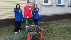 Активисты «Молодой Гвардии» Новоосколья организовали весенний «трудовой десант»