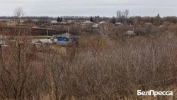 Вячеслав Гладков – о заключении бойцами СВО 205 контрактов на получение льготных участков 