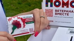 Акция «Красная гвоздика» в поддержку ветеранов стартовала в Новооскольском округе
