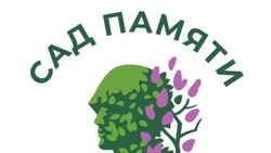 240 тысяч деревьев будет высажено в лесах Белгородской области в рамках акции «Сад памяти»