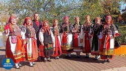 Специалисты Тростенецкого модельного Дома культуры поучаствовали во Всероссийском фестивале 