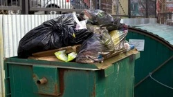 Два белгородских мусоровоза вышли из строя из-за кирпичей и камней в контейнерах для бытовых отходов
