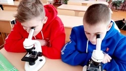 Ученики Шараповской и Старобезгинской школ поучаствовали во Всероссийской акции «Наука для каждого»