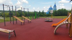 Новая спортплощадка с игровыми элементами появилась в селе Богородское Новооскольского округа