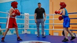 В Новом Осколе состоялся мемориальный турнир по боксу памяти героя СВО Романа Лихачёва