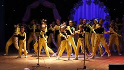 Музыкально-танцевальное шоу прошло в Новом Осколе