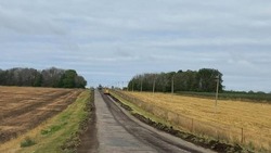 Власти приступили к ремонту автодороги «Шевцов-Немцево-Мазепин» в Новооскольском округе
