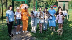  Новооскольские любители животных отпраздновали Международный День Собак 