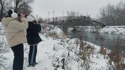 Юннаты Новооскольской станции провели зимние наблюдения за птицами