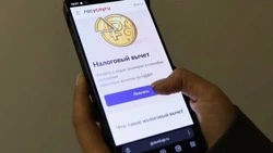 Белгородцы смогут оформить налоговый вычет на портале «Госуслуги»