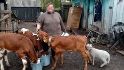 Выбрал дело по душе – действуй!