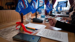 Члены новооскольских первичек «Единой России» создали 31 общественно-значимый социальный проект