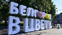 Вячеслав Гладков намерен распространить фестиваль «Белгород в цвету» на весь регион