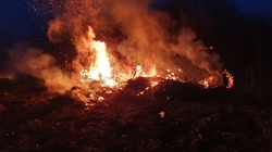 Сотрудник МЧС Александр Апостолов:«Выжигание сухой травы — грубейшее нарушение»