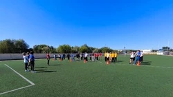 Новооскольские школьники доказали: спорт — фундамент успеха