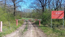 Лесных пожаров не было на территории Белгородской области в 2025 году