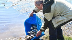 Водный объект «Затон» в Новооскольском округе пополнился новыми обитателями