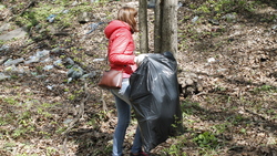 Более 300 тысяч человек очистили белгородские леса от мусора