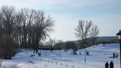 Новооскольцы прокатились на санках и лыжах на зимнем празднике «Крутогор-2022»