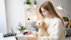 Белгородцы смогут воспользоваться на «Госуслугах» сервисом записи к ветеринару и отлова животных