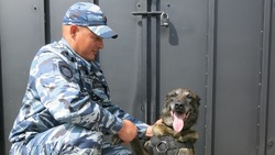 Новооскольский инспектор-кинолог со служебной собакой по «горячим следам» раскрыл кражу имущества