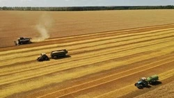 Александр Шуваев: уборочная кампания началась в Белгородской области