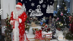 Жители Новооскольского городского округа посетили выставку «Зимняя фантазия»