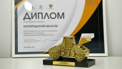 Белгородская область вошла в числе лидеров нацпроекта «Безопасные качественные дороги»