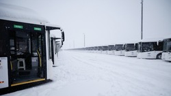 30 новых автобусов большого класса начали курсировать по Белгороду уже сегодня