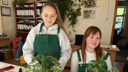 Юные новооскольские натуралисты погрузились в процесс подготовки к зимней выгонке