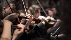 Камерный оркестр «Виртуозы Москвы» провёл мастер-классы для белгородцев