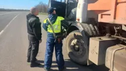 Сотрудники Экоохотнадзора и полиции подвели итоги рейдов «Чистый город» в Белгородской области