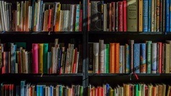 Новооскольские молодогвардейцы объявили сбор книг на русском языке для детей ЛНР и ДНР
