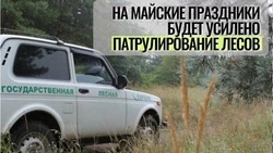 На майские праздники в Белгородской области усилят охрану лесов и патрулирование