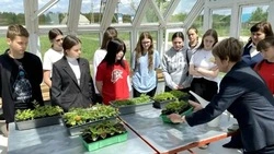 Материал
