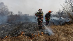 Новооскольские власти ввели особый противопожарный режим на территории муниципалитета