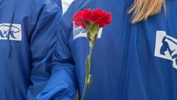 Новооскольцы почтили память павших героев в День Белых Журавлей