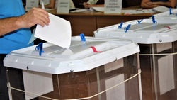 Центр общественного наблюдения за голосованием появится в Белгороде