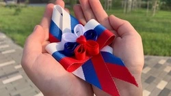 Новооскольцы раздали броши в виде триколора жителям города