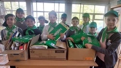 Активисты из Новооскольского округа собрали более 12 тонн макулатуры в рамках акции «БумБатл»