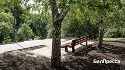Правительство благоустроило 38 парков в Белгородской области в рамках проекта ФКГС